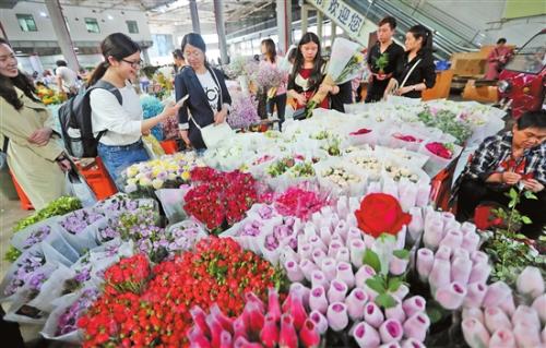 昆明斗南花卉市场火热招募中，诚邀英才共赴花艺盛宴