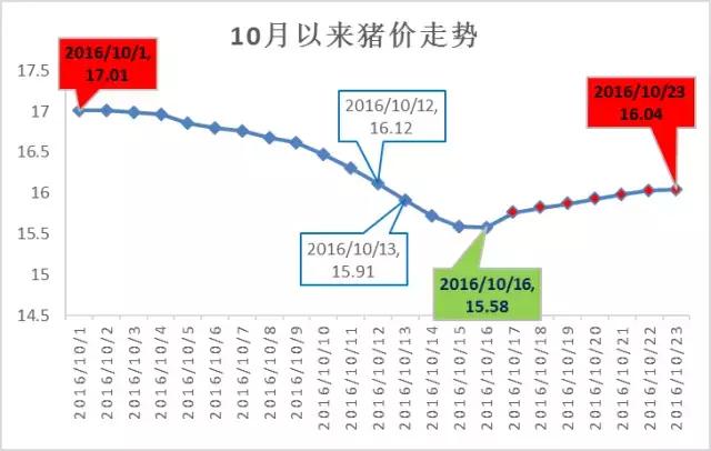 最新猪价行情：UC报价实时动态揭晓